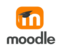 logomoodle-removebg-preview